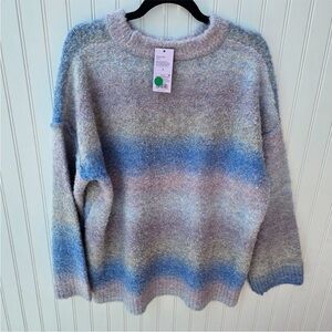 Wild Fable Pastel ombre Sweater